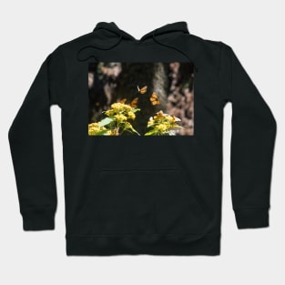 Monarchs of Mexico VII Hoodie